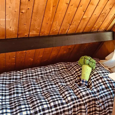 In Prázdninový dům *